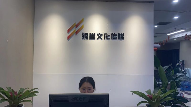 文化传媒公司代理记账的规范与合规要点**
